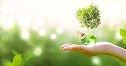 Dịch vụ môi trường