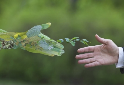 Nông dân phải thành lực lượng trung tâm của chuyển đổi xanh