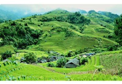 Đề xuất sửa Luật Đất đai trong năm nay