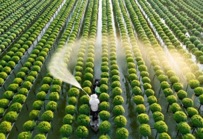 Điện Biên thành lập Trung tâm Đổi mới sáng tạo, ứng dụng AI vào nông nghiệp