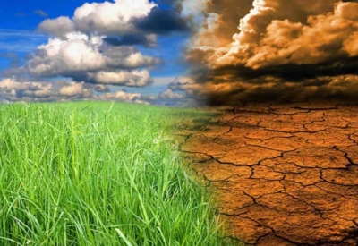 Phát triển nông nghiệp, bảo vệ môi trường thích ứng với biến đổi khí hậu